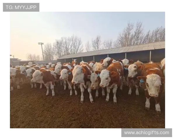 尊龙凯时中国人生：未来趋势下个人如何把握机遇实现人生突破