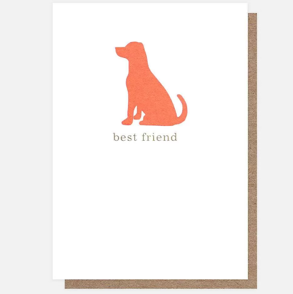 Best Sale Best Friend Dog Everyday Card Everyday Cards