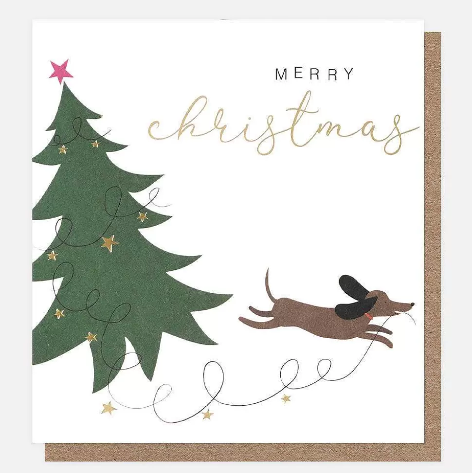 Outlet Cars And Sausage Dog Christmas Charity Christmas Cards Pack Of 8 Christmas Card Packs