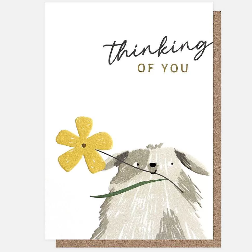 Sale Dog With Flower Thinking Of You Card Thinking Of You Cards