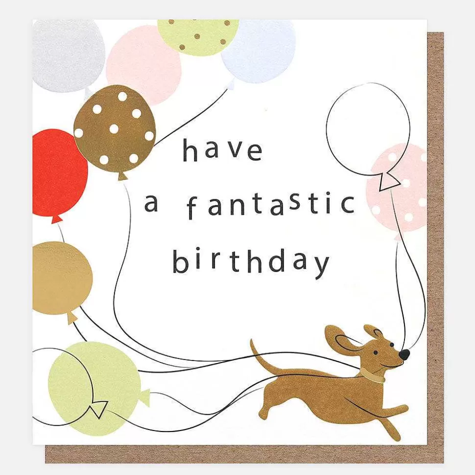 Store Have A Fantastic Birthday Sausage Dog Birthday Card For Kids