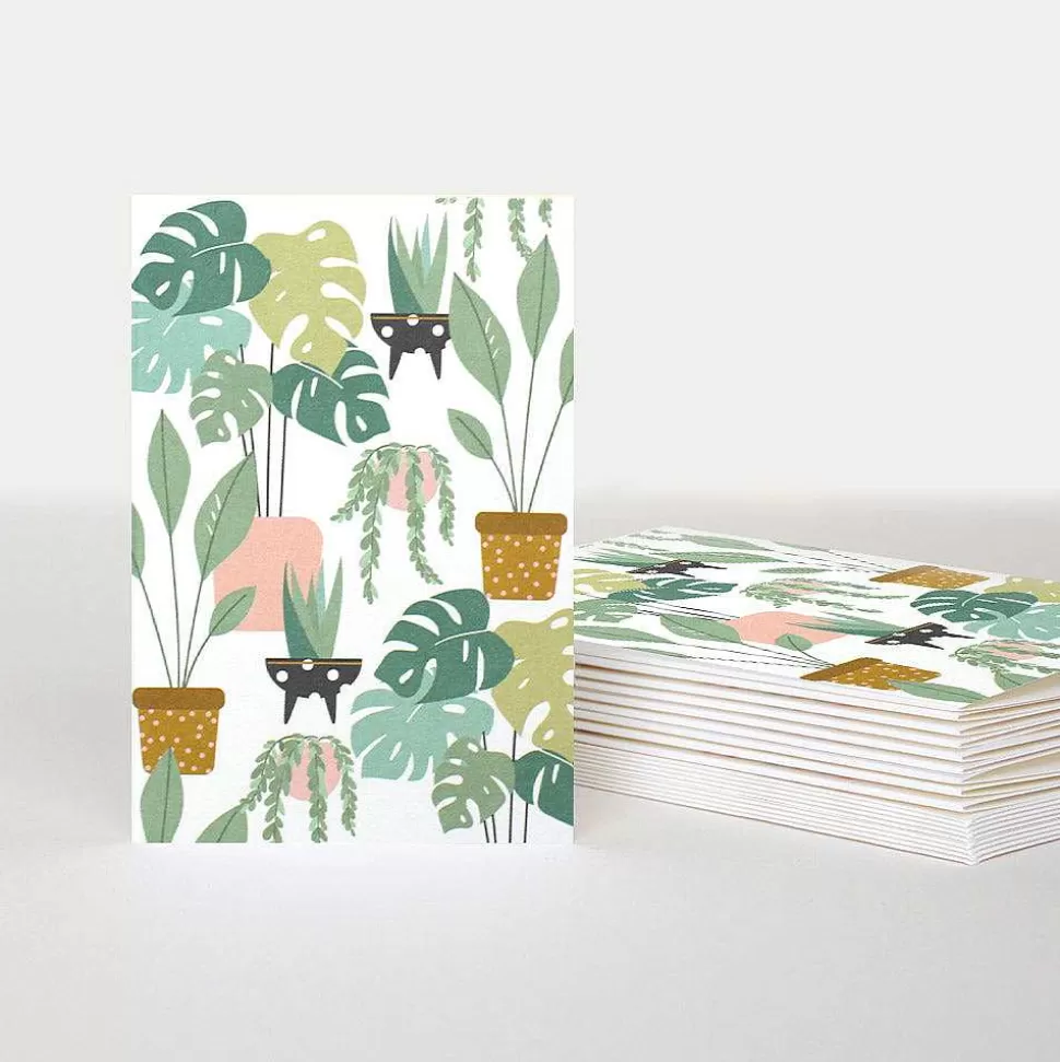 Online House Plants Blank Notecards Pack Of 10 Packs Of Cards