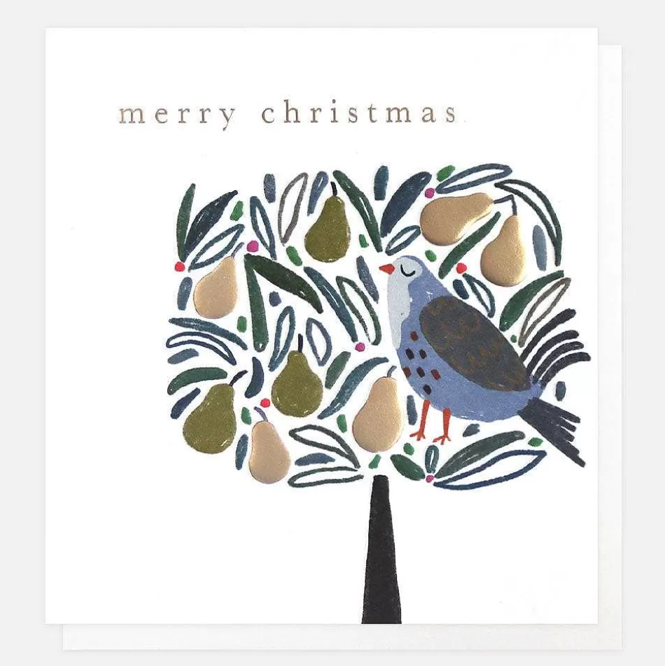 Hot Partridge In A Pear Tree Charity Christmas Card Pack Of 8 Packs Of Cards