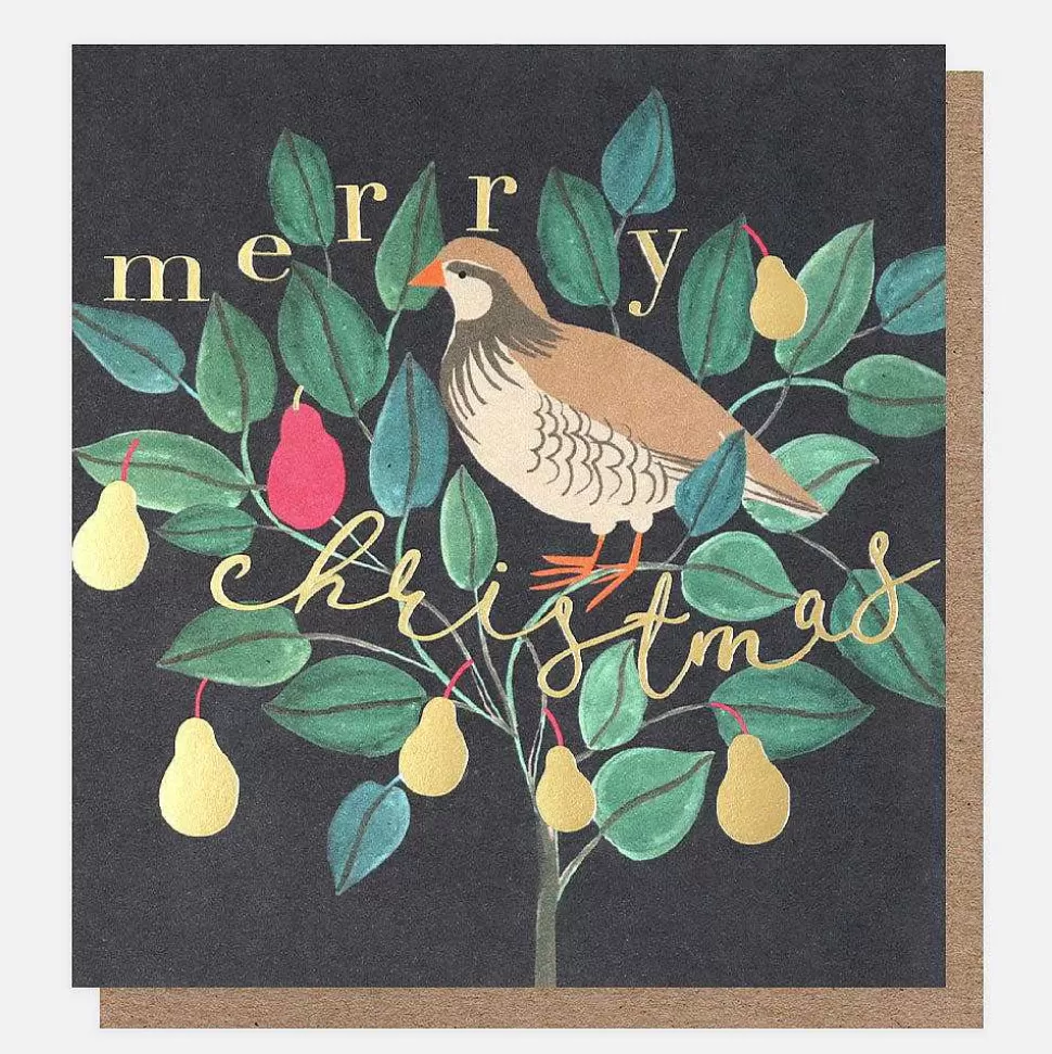 Sale Partridge In A Pear Tree Charity Christmas Cards Pack Of 8 Christmas Card Packs