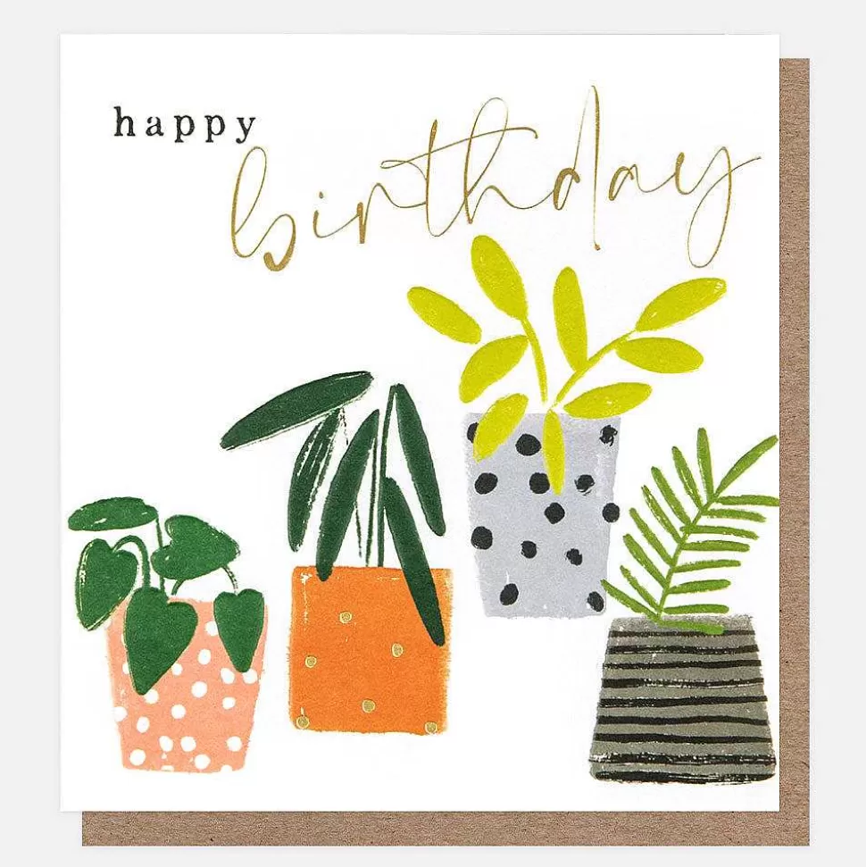 Sale Patterned Plant Pots Birthday Card For Her