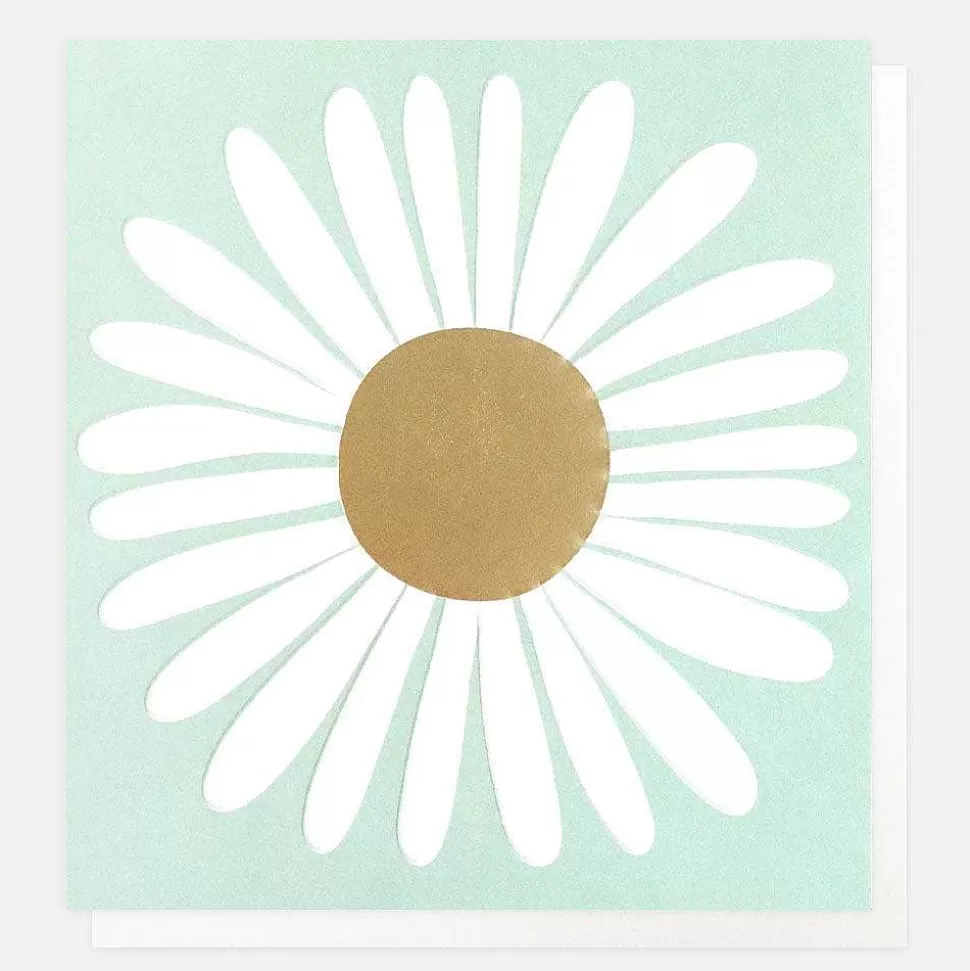 New White Daisy Everyday Card Everyday Cards